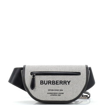 Burberry Olympia Bum Bag Leather and Canvas Small