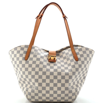 Louis Vuitton Salina Handbag Damier PM