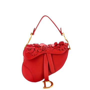 Christian Dior Saddle Handbag Leather with Applique Mini