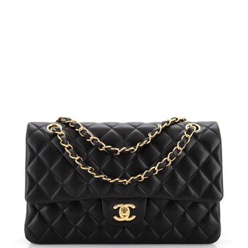Chanel Classic Double Flap Bag Quilted Lambskin Medium