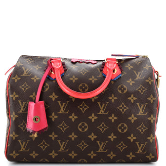 Louis Vuitton Speedy Handbag Limited Edition Totem Monogram Canvas 30