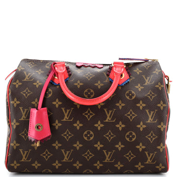 Louis Vuitton Speedy Handbag Limited Edition Totem Monogram Canvas 30