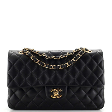 Chanel Classic Double Flap Bag Quilted Lambskin Medium