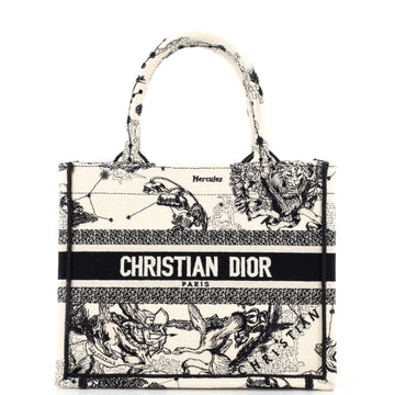 Christian Dior Book Tote Embroidered Canvas Small