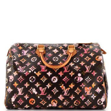 Louis Vuitton Speedy Handbag Monogram Watercolor Aquarelle 35