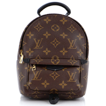Louis Vuitton Palm Springs Backpack Monogram Canvas Mini