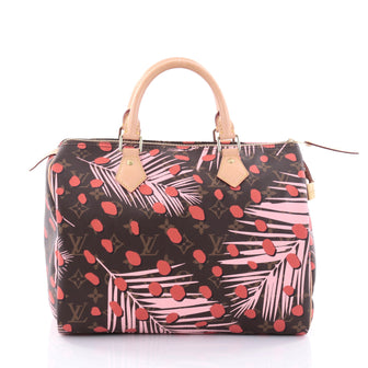 Louis Vuitton Speedy Handbag Limited Edition Monogram 2716001