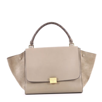 Celine Trapeze Handbag Leather with Python Medium Gray 2722101