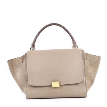 Celine Trapeze Handbag Leather with Python Medium Gray 2722101