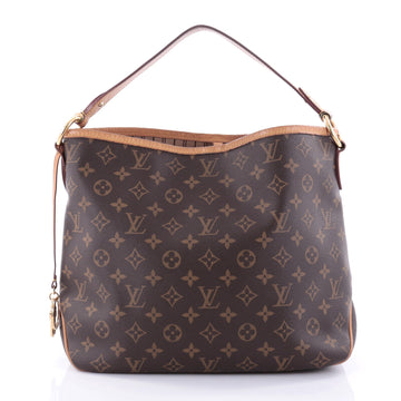 Louis Vuitton Delightful NM Handbag Monogram Canvas PM 2725112