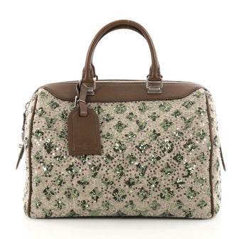 Louis Vuitton Speedy Handbag Limited Edition Sunshine 2809702