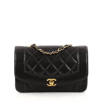 Chanel Vintage Diana Flap Bag Quilted Lambskin Small 2874401