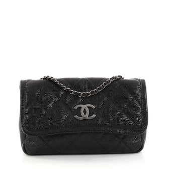 Chanel Natural Beauty Flap Bag Quilted Caviar Small 2968301