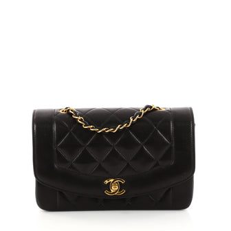Chanel Vintage Diana Flap Bag Quilted Lambskin Small 2989402