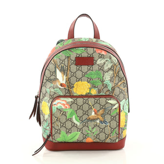 Gucci Zip Pocket Backpack Tian Print GG Coated Canvas Small 30315/01