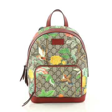 Gucci Zip Pocket Backpack Tian Print GG Coated Canvas Small 30315/01