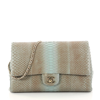 Chanel Clutch with Chain Python Blue 3061502