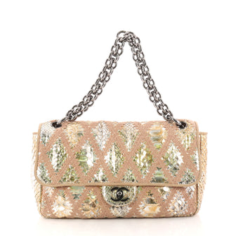 Chanel Soft and Chain Flap Bag Quilted Python East West 3072902