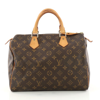 Speedy Handbag Monogram Canvas 30