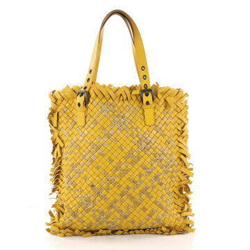  Bottega Veneta Paille Sfrangiato Aquatre Tote Fringe 3230604