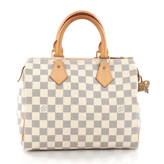 Louis Vuitton Speedy Handbag Damier 25 White 3316601
