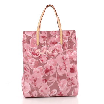 Louis Vuitton Catalina Handbag Limited Edition Monogram 3341804