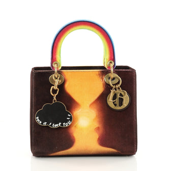 Christian Dior Lady Dior Handbag Limited Edition Printed Brown 3380901