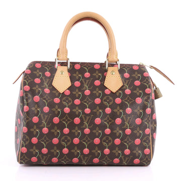 Louis Vuitton Speedy Handbag Limited Edition Monogram 3458403