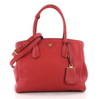 Cuir Double Tote Vitello Daino Medium