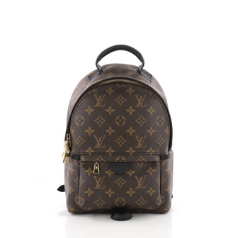 Louis Vuitton Palm Springs Backpack Monogram Canvas PM Brown 3533801
