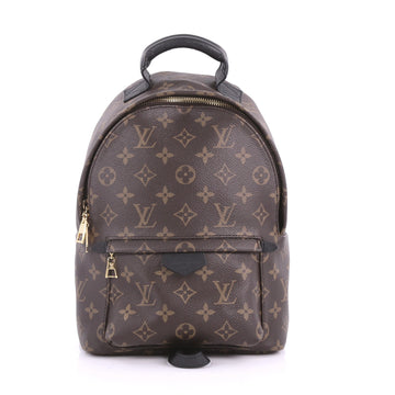Louis Vuitton Palm Springs Backpack Monogram Canvas PM Brown 3602402