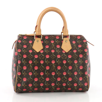 Louis Vuitton Speedy Handbag Limited Edition Monogram Cerises 25 3643302