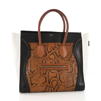 Celine Tricolor Luggage Handbag Python and Leather Medium Brown 3821889