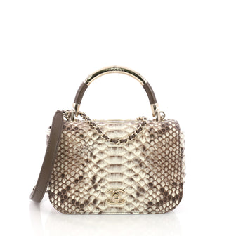 Chanel Model: Carry Chic Flap Bag Python Small Neutral 38274/1