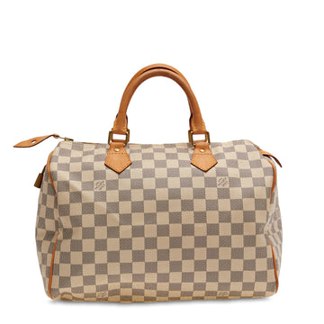 Speedy Handbag Damier 30