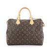 Louis Vuitton Speedy Handbag 392543