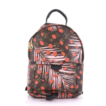Louis Vuitton Palm Springs Backpack Limited Edition Monogram