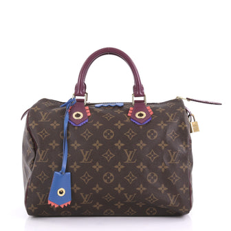 Louis Vuitton Speedy Handbag Limited Edition Totem Monogram Canvas 30