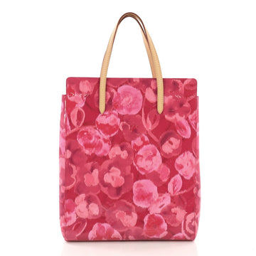 Louis Vuitton Catalina Handbag Limited Edition Monogram Vernis Ikat North South
