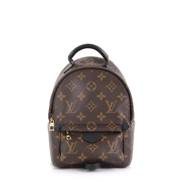 Louis Vuitton Palm Springs Backpack Monogram Canvas Mini