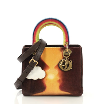 Christian Dior Lady Dior Handbag Limited Edition Printed Velvet Medium Brown 429671