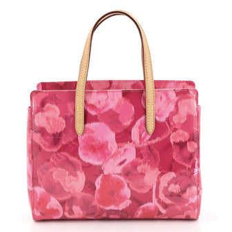 Louis Vuitton Catalina Handbag Limited Edition Monogram Vernis Ikat BB Pink 4438518