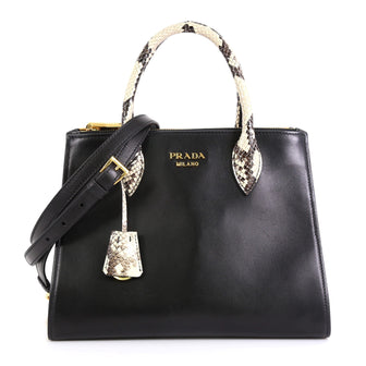 Prada Paradigme Bag City Calfskin with Python Small