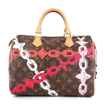 Louis Vuitton Speedy Handbag Limited Edition Bay Monogram Canvas 30 Brown 454741