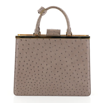 Louis Vuitton Deesse Handbag Ostrich MM Gray 4565820