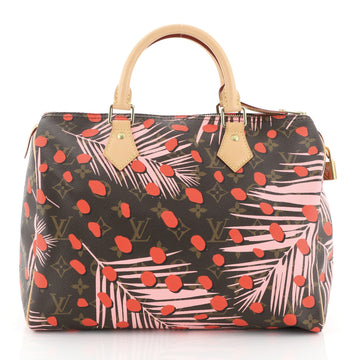 Louis Vuitton Speedy Handbag Limited Edition Monogram Canvas 30