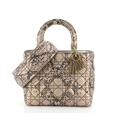 Christian Dior Supple Lady Dior Bag Cannage Quilt Python Medium Neutral 458073