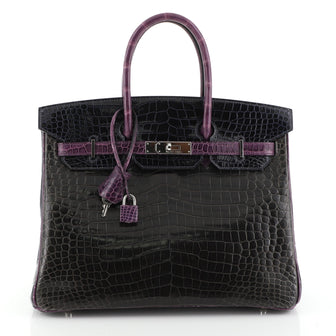 Hermes Birkin Handbag Tricolor Shiny Porosus Crocodile with Palladium Hardware 35