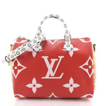 Louis Vuitton Speedy Bandouliere Bag Limited Edition Colored Monogram Giant 30