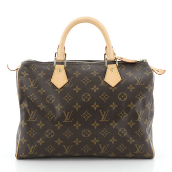 Louis Vuitton Speedy Handbag Monogram Canvas 30